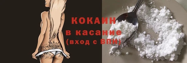 шишки Вязники