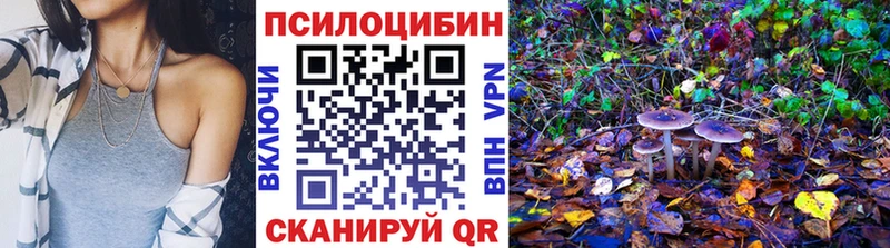 Псилоцибиновые грибы Cubensis  mega ссылка  Оренбург  цена наркотик 